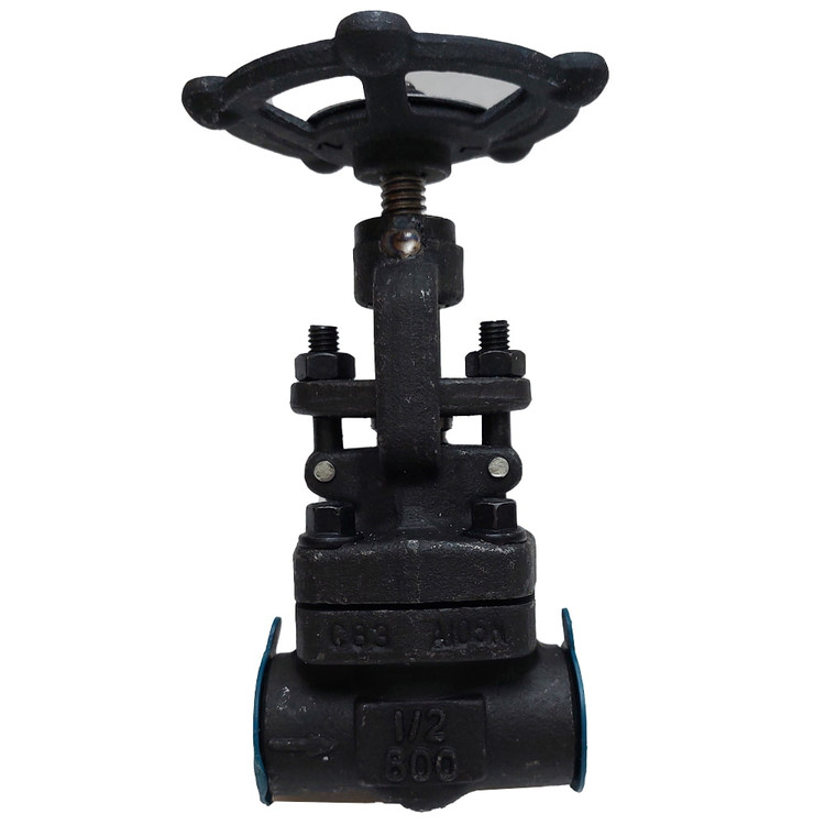 شیر فلکه سوزنی فولادی کلاس 800 سایز 1 اینچ با اتصال دندهای یا جوشی صنعتی